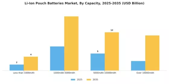 Li-Ion Pouch Batteries Market Segment Image 0