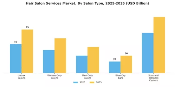 Hair Salon Services Market Segment Image 1