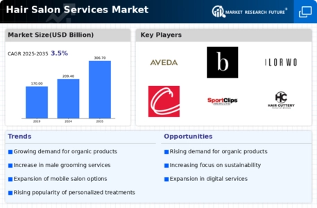 Hair Salon Services Market Infographic