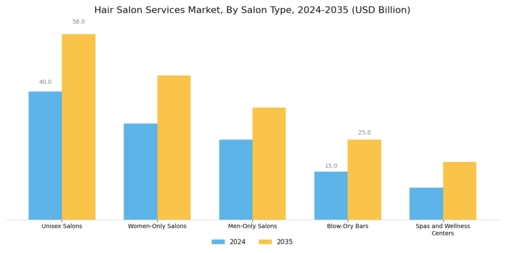 Hair Salon Services Market Segment Image 1