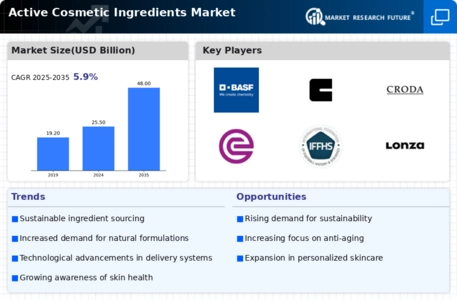 Active Cosmetic Ingredients Market Infographic