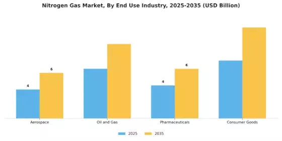 Nitrogen Gas Market Segment Image 1