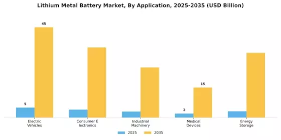 Lithium Metal Battery Market Segment Image 0