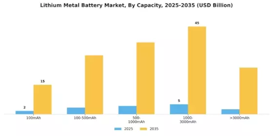 Lithium Metal Battery Market Segment Image 1