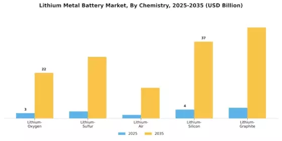 Lithium Metal Battery Market Segment Image 2