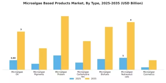 Microalgae Based Products Market Segment Image 0