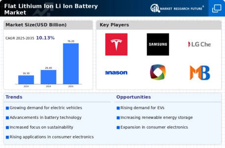 Flat Lithium Ion Li Ion Battery Market  Infographic
