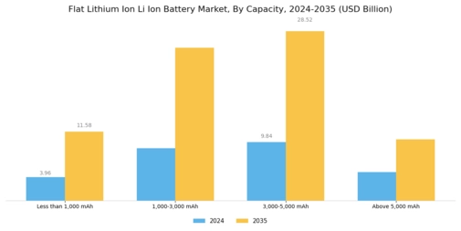 Flat Lithium Ion Li Ion Battery Market  Segment Image 3