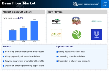 Bean Flour Market Infographic