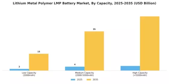 Lithium Metal Polymer (LMP) Battery Market Segment Image 1