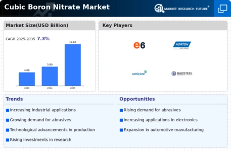 Cubic Boron Nitrate Market Infographic