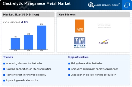 Electrolytic Manganese Metal Market
 Infographic