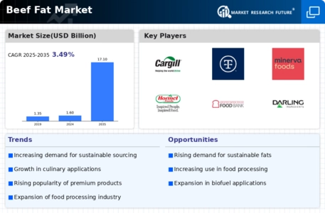 Beef Fat Market Infographic