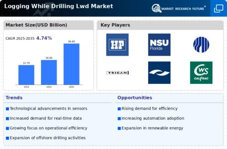 Logging While Drilling Market Infographic