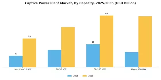 Captive Power Plant Market Segment Image 2