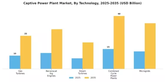 Captive Power Plant Market Segment Image 3