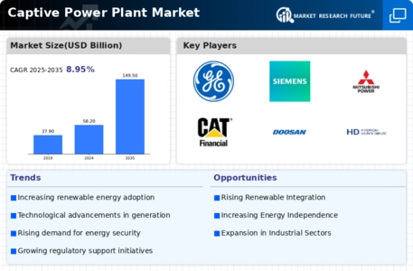 Captive Power Plant Market Infographic