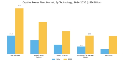 Captive Power Plant Market Segment Image 3
