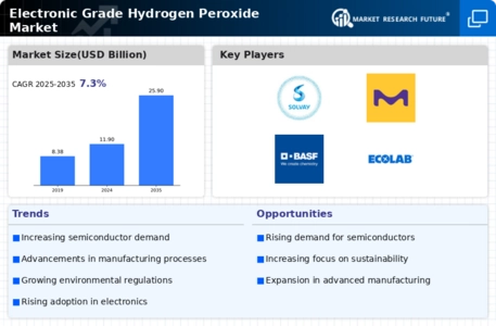 Electronic Grade Hydrogen Peroxide Market Infographic