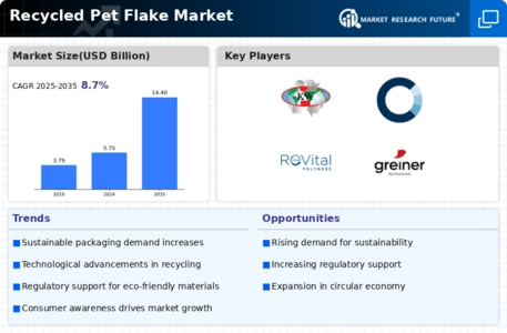 Recycled Pet Flake Market Infographic