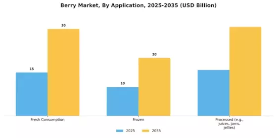Berrie Market Segment Image 2