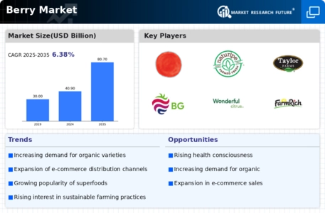 Berrie Market Infographic