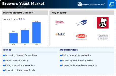 Brewers Yeast Market Infographic