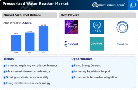 Pressurized Water Reactor Market Infographic