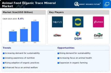 Animal Feed Organic Trace Market Infographic