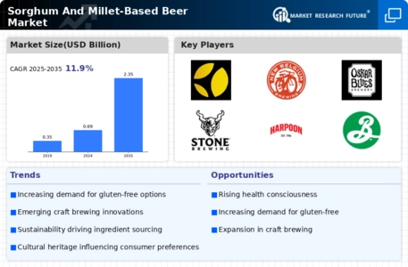 Sorghum And Millet-Based Beer Market Infographic