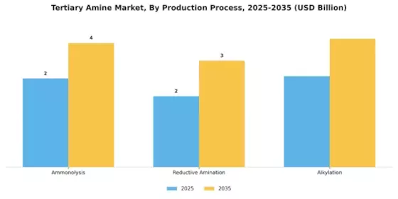 Tertiary Amine Market Segment Image 2