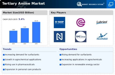 Tertiary Amine Market Infographic