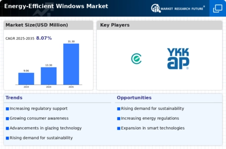 Energy Efficient Windows Market Infographic