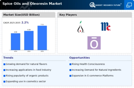 Spice Oils And Oleoresin Market Infographic
