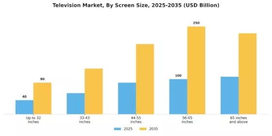 Television Market  Segment Image 1