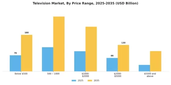 Television Market  Segment Image 4