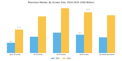 Television Market  Segment Image 1