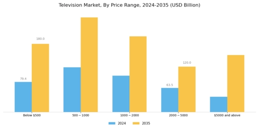 Television Market  Segment Image 4
