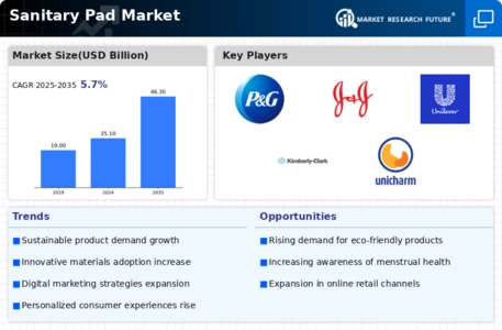 Sanitary Pad Market Infographic