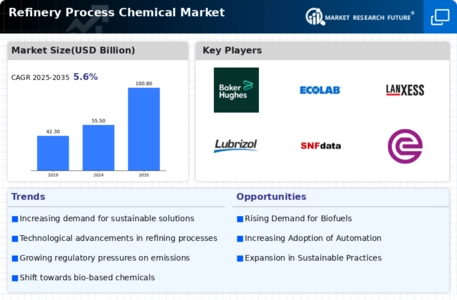 Refinery Process Chemical Market Infographic