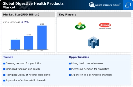 Digestive Health Products Market Infographic