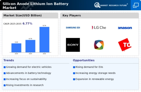 Silicon Anode Lithium Ion Battery Market Infographic