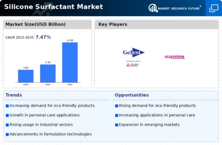 Silicone Surfactant Market Infographic