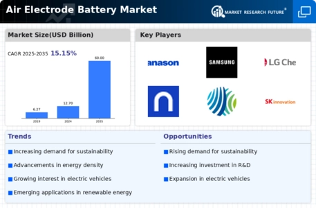 Air Electrode Battery Market Infographic