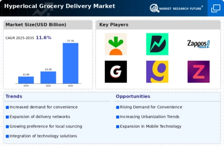 Hyperlocal Grocery Delivery Market Infographic
