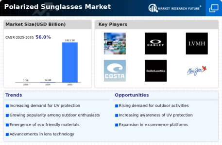 Polarized Sunglasses Market Infographic