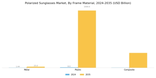 Polarized Sunglasses Market Segment Image 1