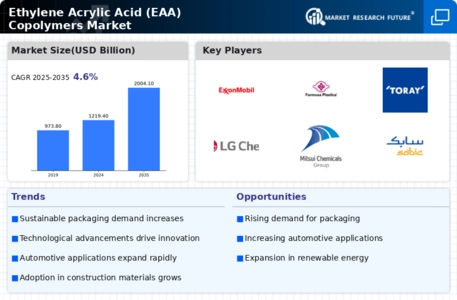 Ethylene Acrylic Acid Copolymers Market
 Infographic