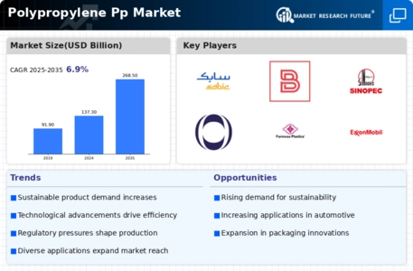 Polypropylene Pp Market Infographic