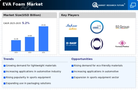 EVA Foam Market
 Infographic
